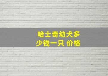 哈士奇幼犬多少钱一只 价格